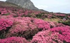 Corée : Une nature jalousement préservée