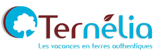 Les offres AINOA de Ternélia Les offres AINOA de Ternélia
